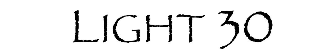 copy for Light 30 Logo